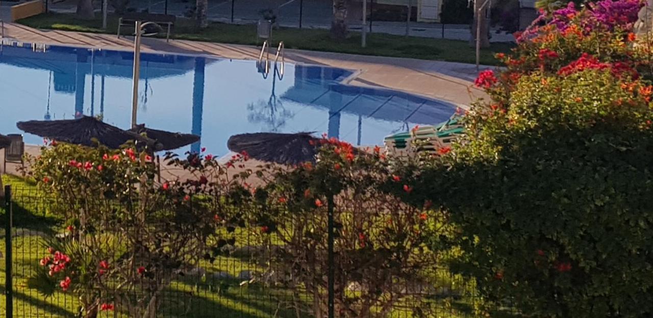 Chalet Bonalba Golf อาลิกันเต ภายนอก รูปภาพ